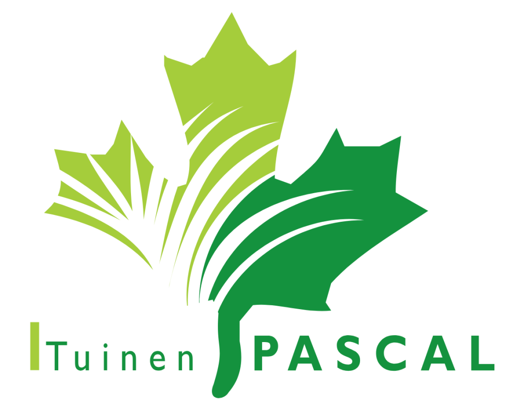 logo_converted.png